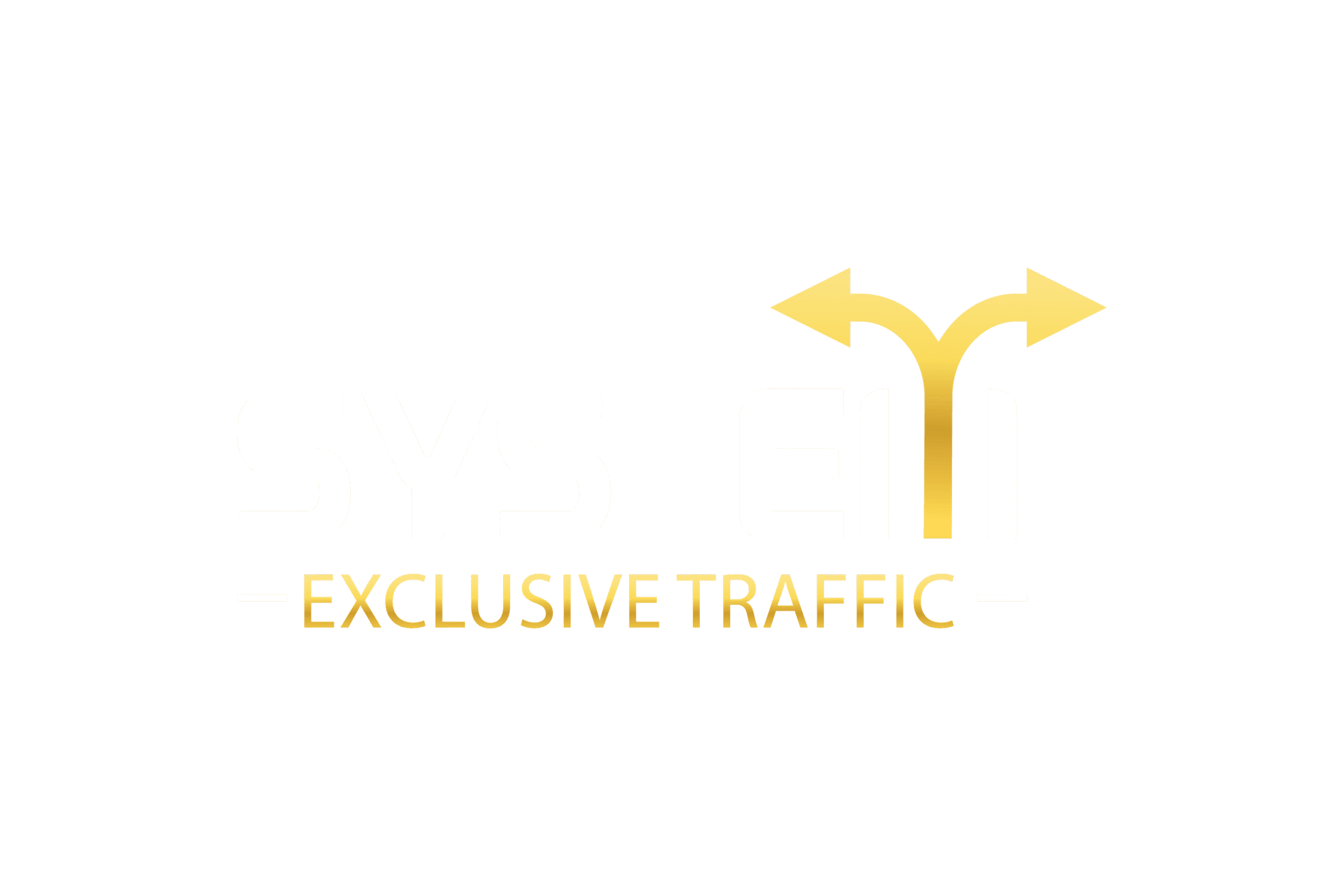 System Exclusive Traffic logo System Exclusive Traffic logo